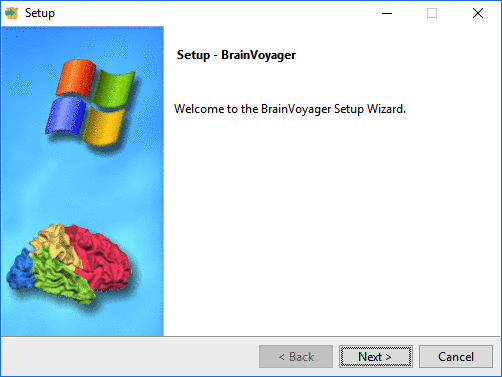 BrainVoyager Windows Installer